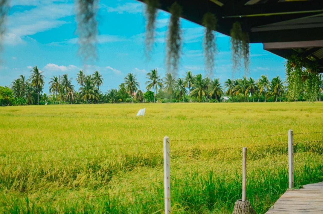 Photo of Others in Suan Som