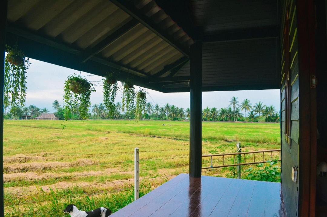 Photo of Others in Suan Som