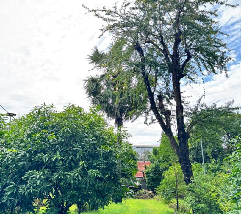 Photo of Outdoor in Sangkat Sla Kram