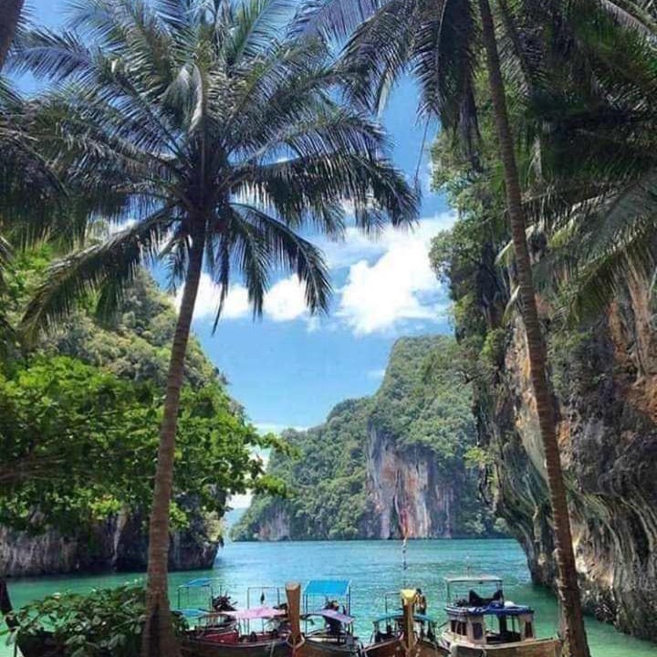 Photo of Others in Ko Yao