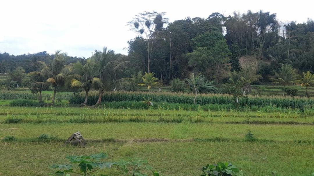 Photo of Others in Batukliang