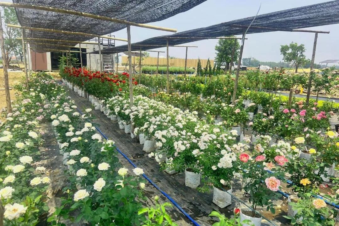 Photo of Outdoor in Suphan Buri