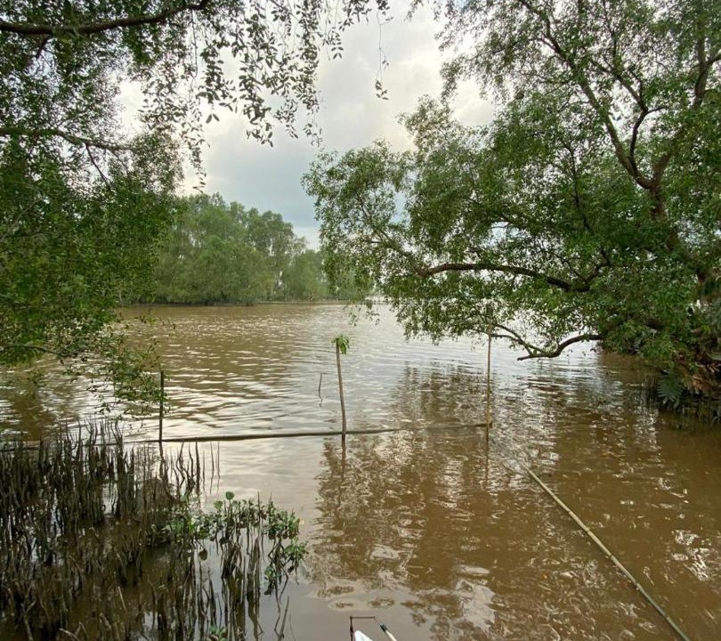 Photo of Others in Kalimantan