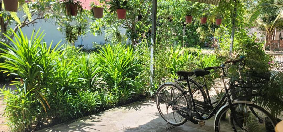 Photo of Others in Siem Reap