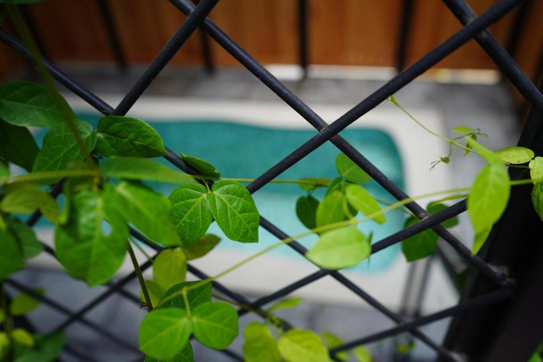 Photo of Patio Balcony in Kunchithanny