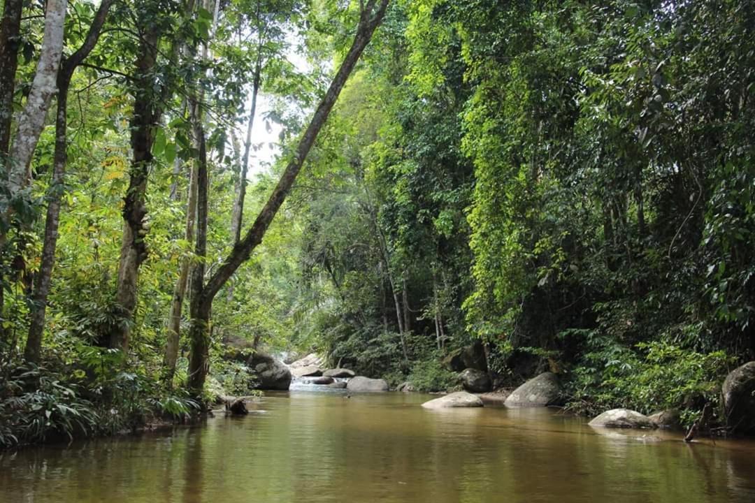 Photo of Others in Bentong