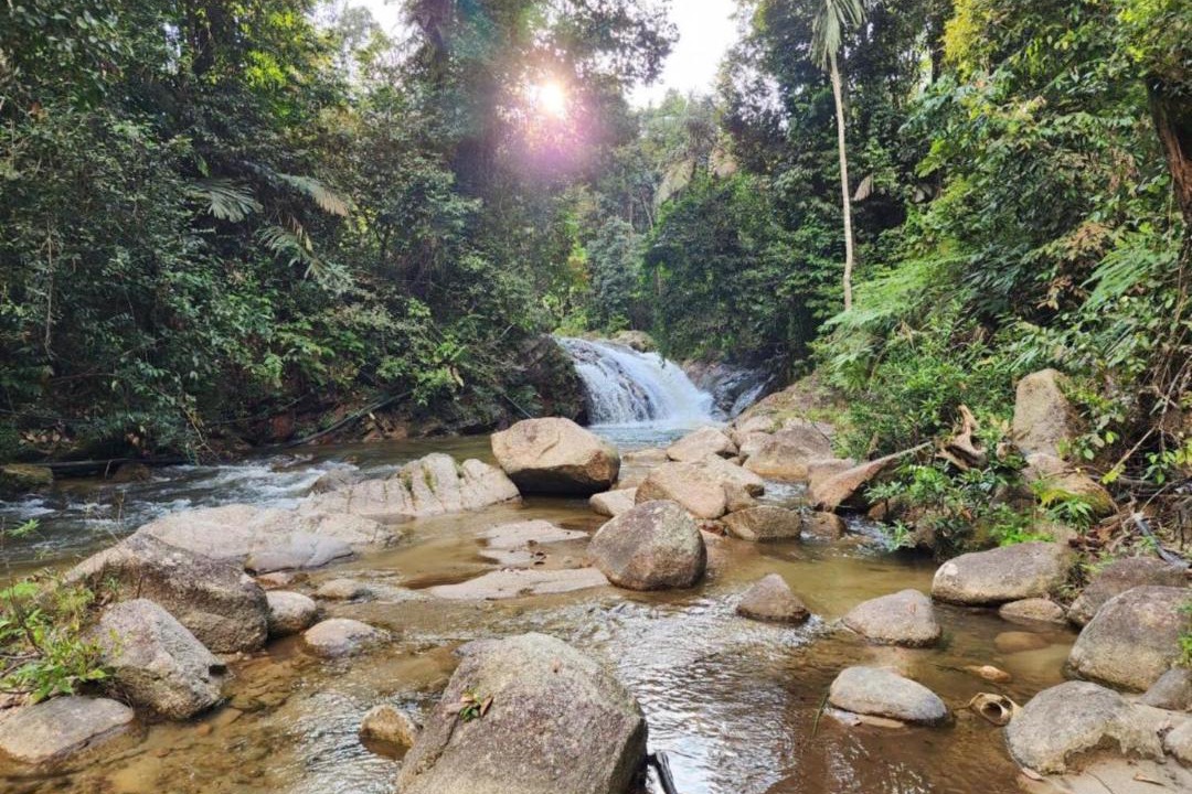 Photo of Others in Bentong