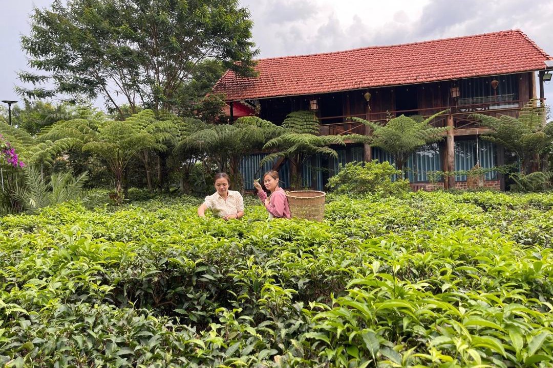 Photo of Others in Bao Loc