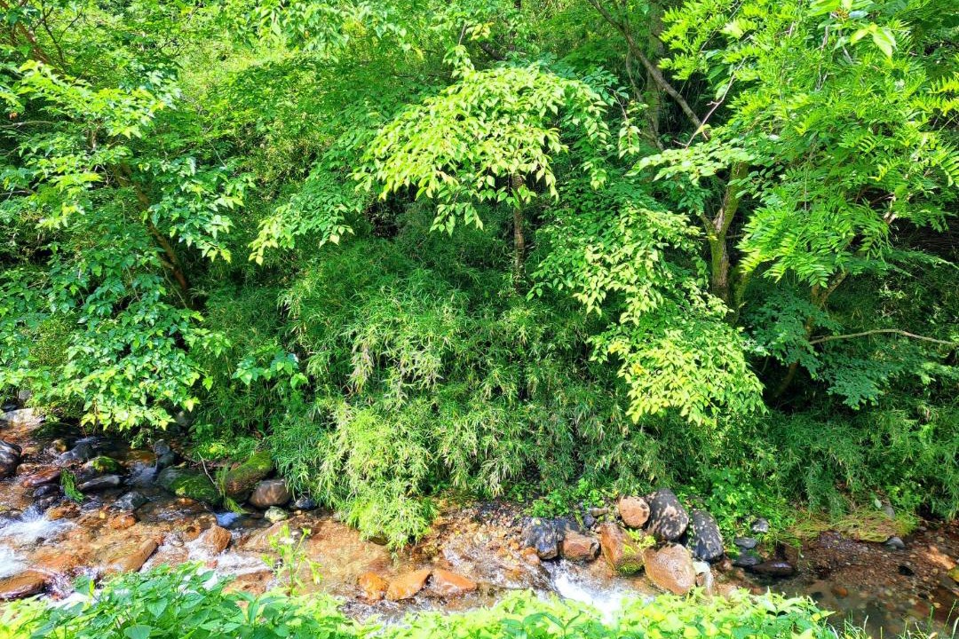 Photo of Outdoor in Yumoto