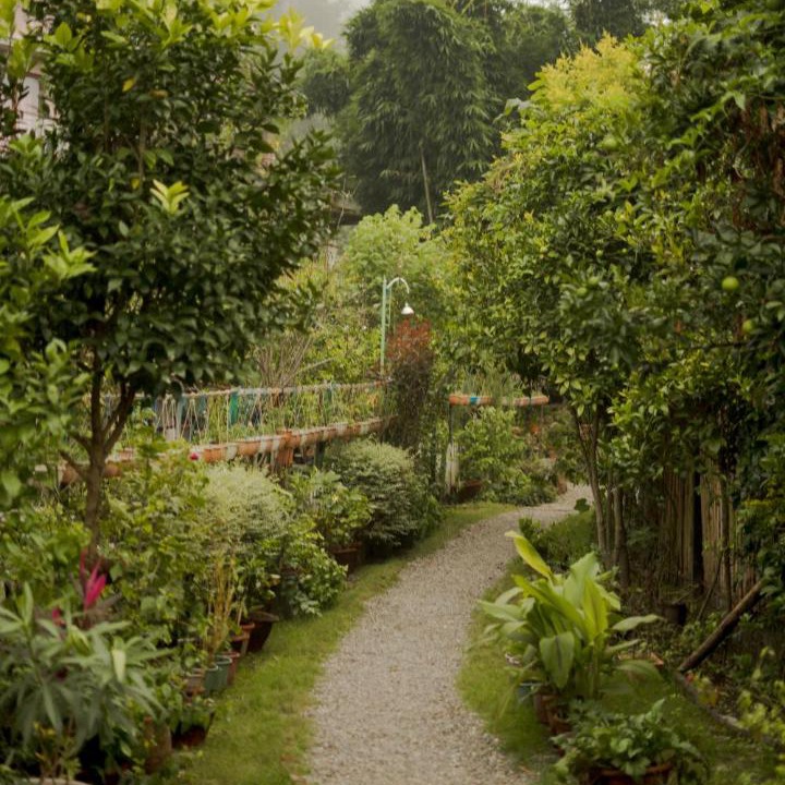 Photo of Outdoor in Naukuchiyatal