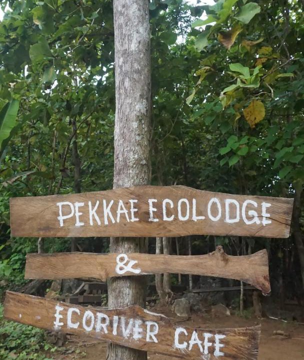 Photo of Others in Sulawesi