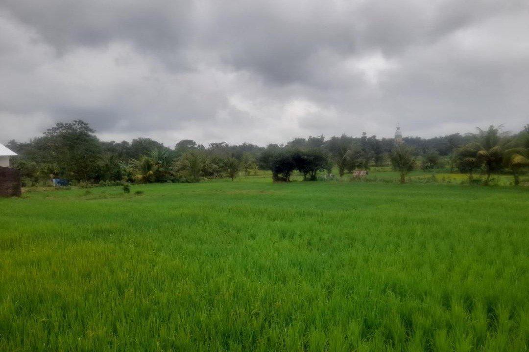 Photo of Others in Batukliang