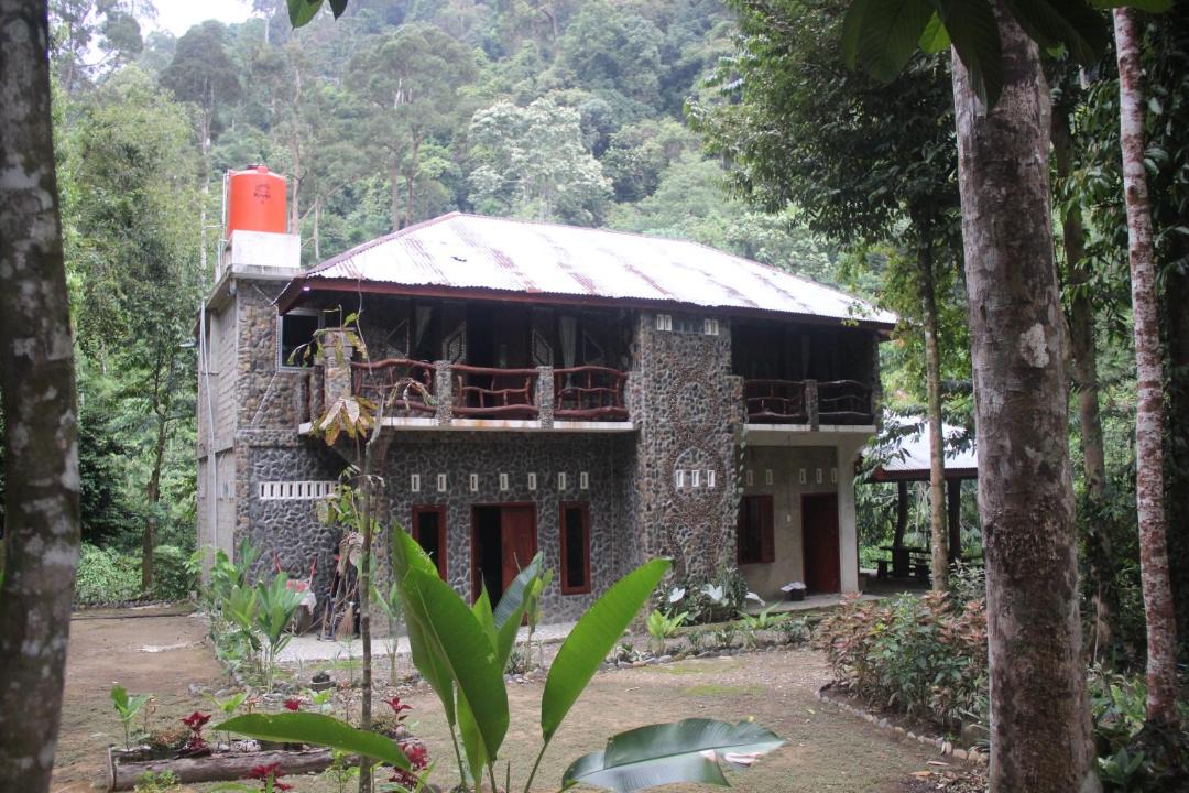 Photo of Others in Bohorok