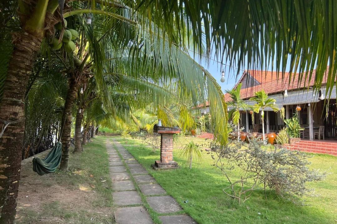 Photo of Others in Binh Dai