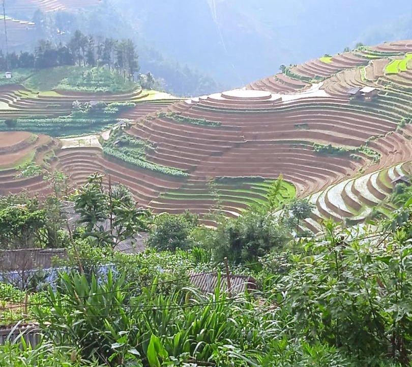 Photo of Others in Mu Cang Chai