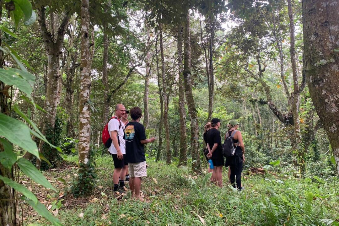 Photo of Outdoor in Tetebatu