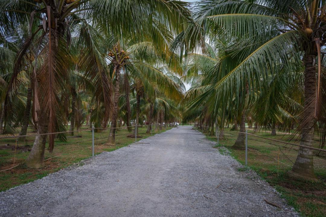 Photo of Others in Klebang Besar