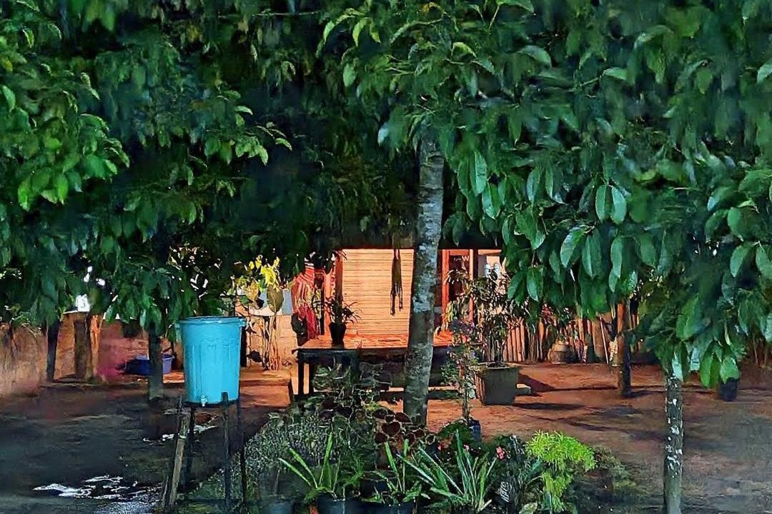 Photo of Others in Lombok