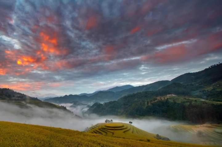 Photo of Others in Mu Cang Chai