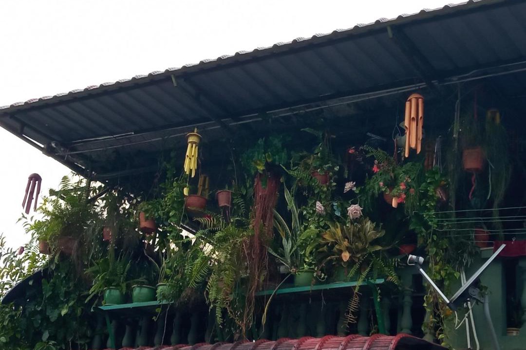 Photo of Others in Kuching