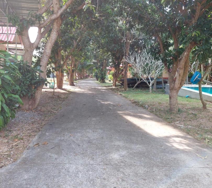 Photo of Outdoor in Plai Laem