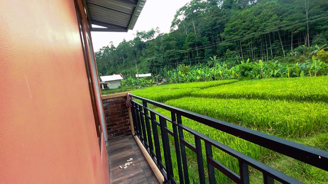 Photo of Others in Wonosobo