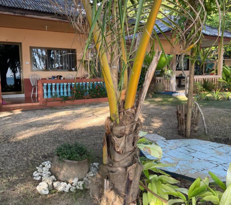 Photo of Others in Ko Mak