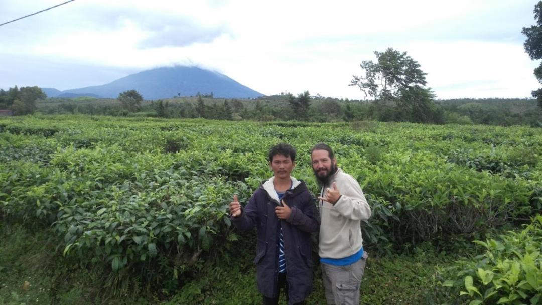 Photo of Others in Siberut National Park