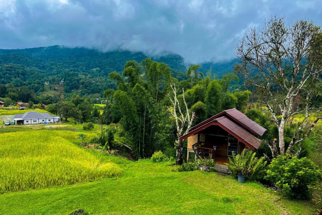 Photo of Others in Chom Thong
