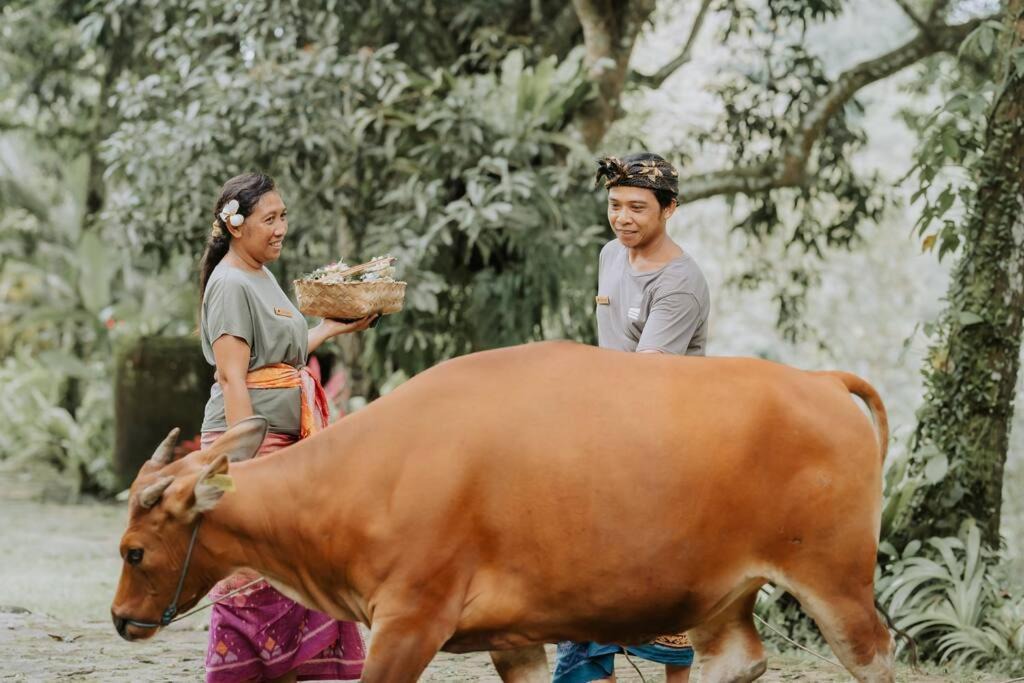 Photo of Others in Samplangan