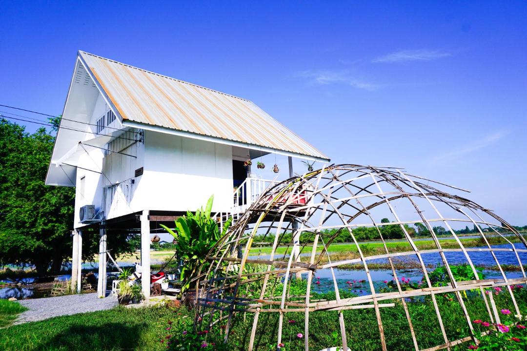 Photo of Others in Khok Khram