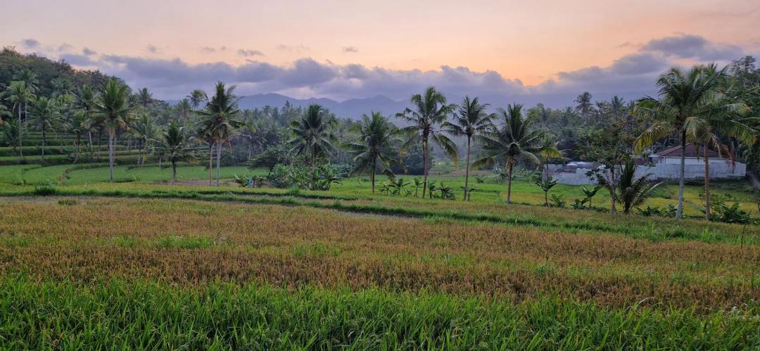 Photo of Others in Banjarasri