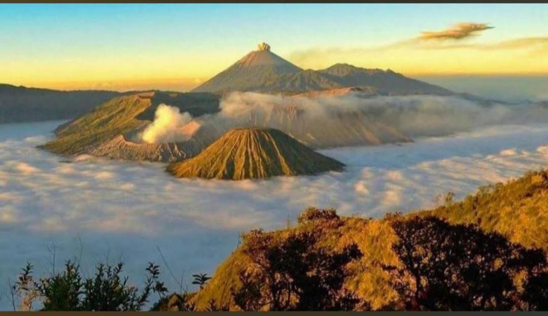 Photo of Others in Ngadisari