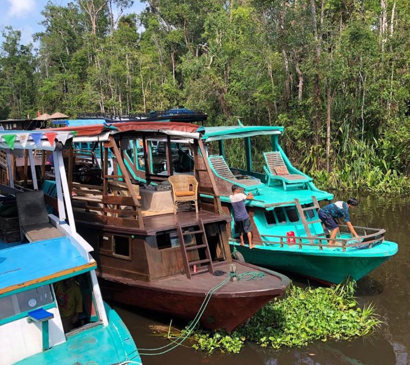 Photo of Others in Pangkalan Bun