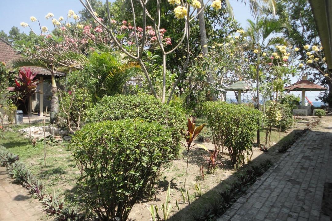 Photo of Others in Senggigi