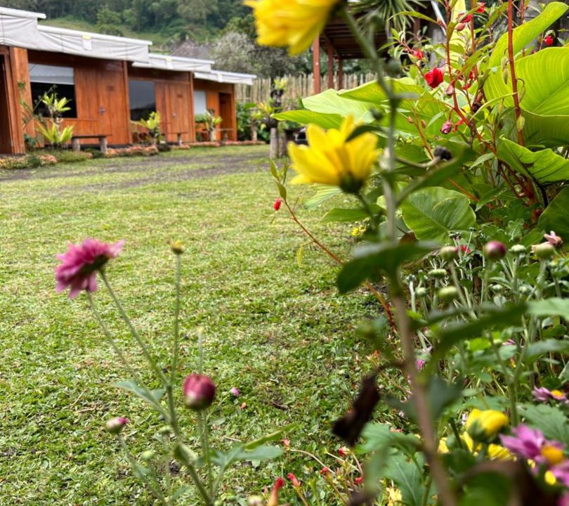 Photo of Others in Kintamani