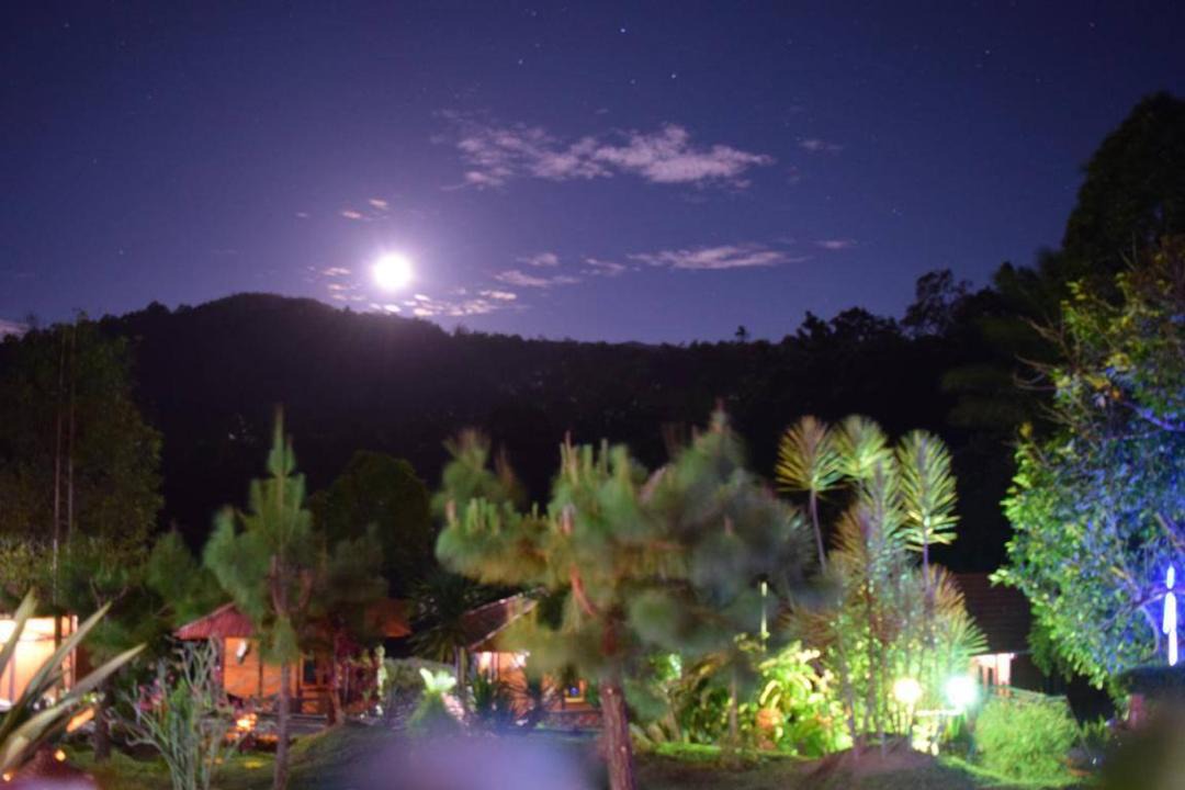 Photo of Others in Tomohon