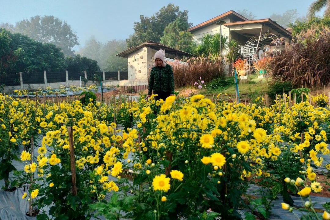 Photo of Others in Wiang Pa Pao