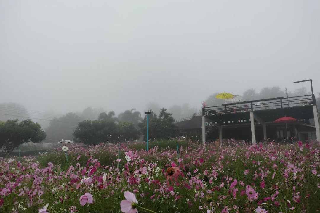 Photo of Others in Wiang Pa Pao