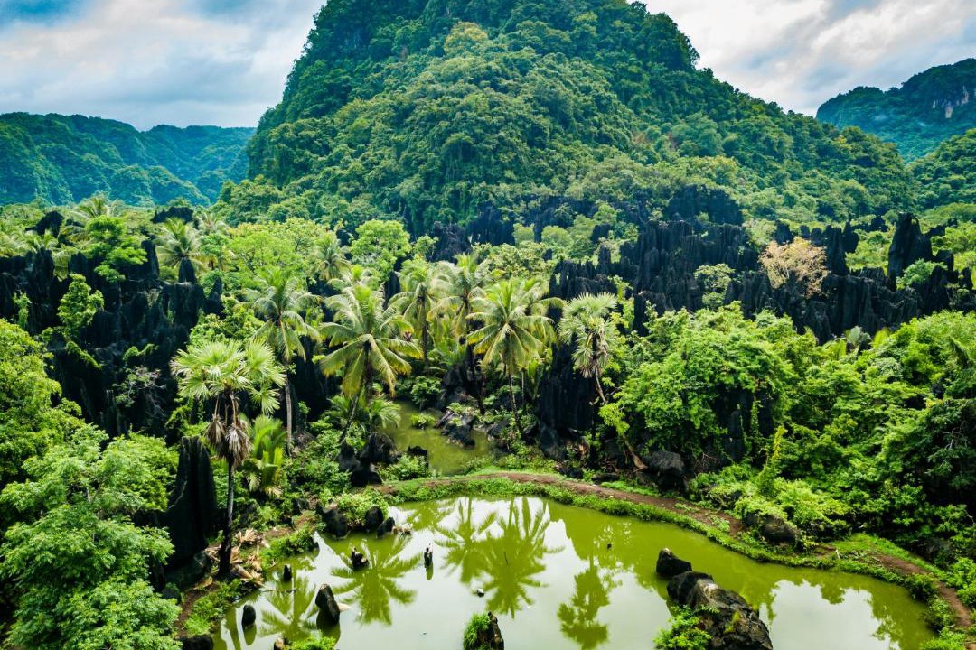 Photo of Others in Bantimurung