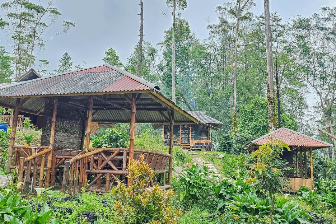 Photo of Others in Rancabali