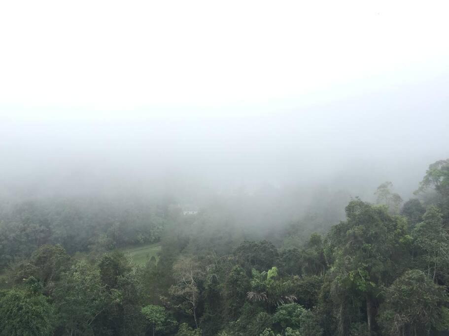 Photo of Outdoor in Bukit Fraser