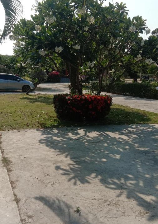 Photo of Others in Hua Hin