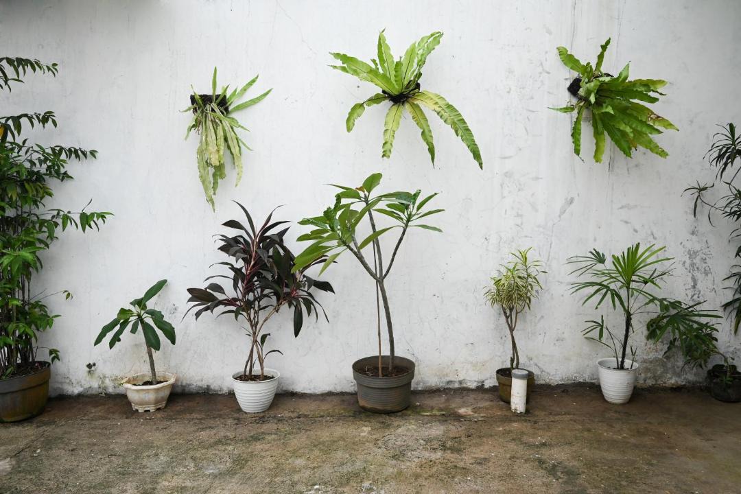Photo of Others in Bogor Barat