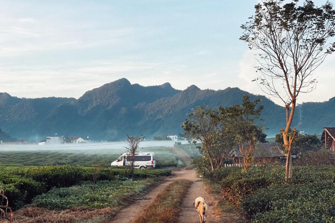 Photo of Others in Moc Chau