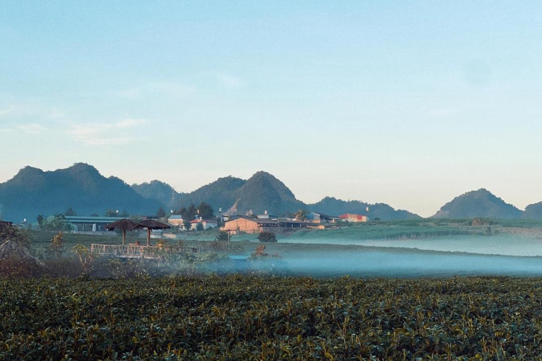 Photo of Others in Moc Chau