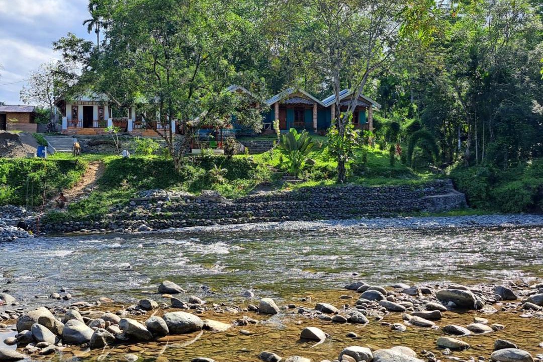 Photo of Others in Bohorok