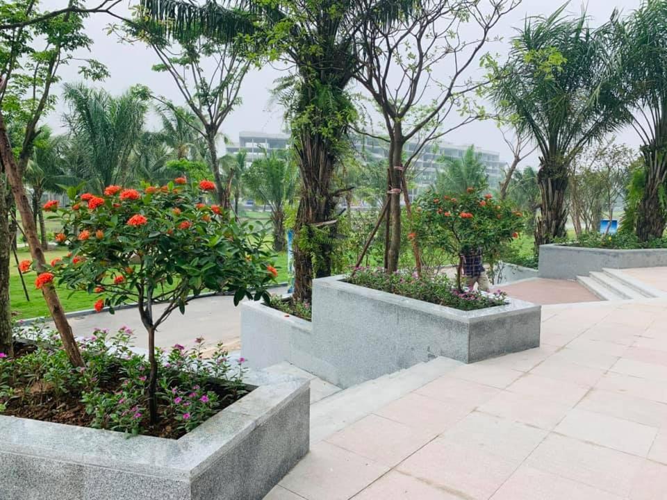 Photo of Others in Van Giang