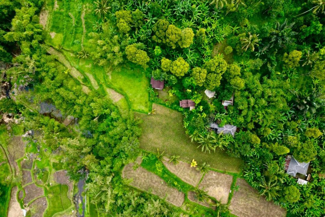 Photo of Others in Tetebatu