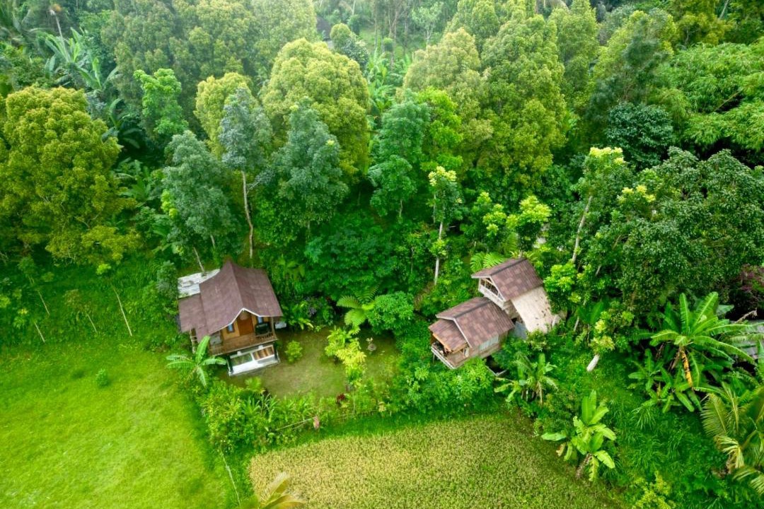 Photo of Others in Tetebatu